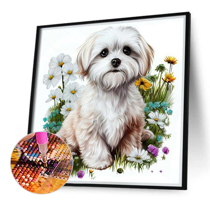 Bichon Frise - Full Round Drill Diamond Painting 40*40CM