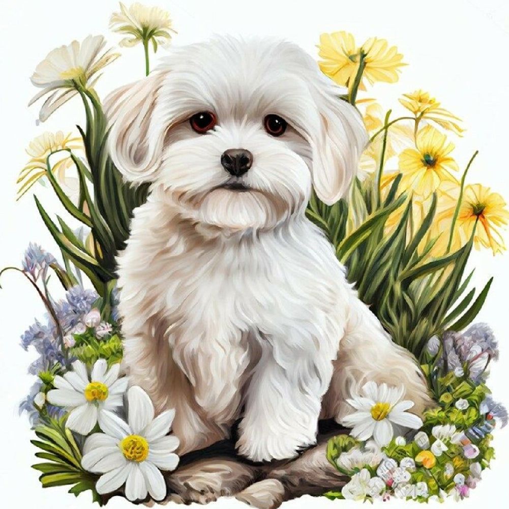 Bichon Frise - Full Round Drill Diamond Painting 40*40CM