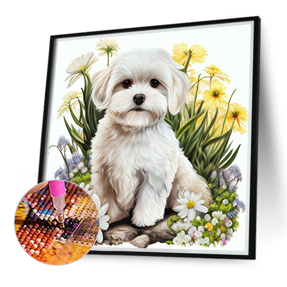 Bichon Frise - Full Round Drill Diamond Painting 40*40CM