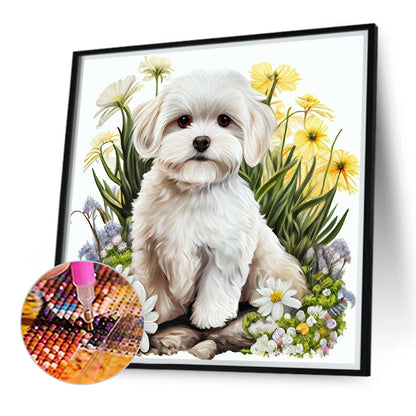 Bichon Frise - Full Round Drill Diamond Painting 40*40CM