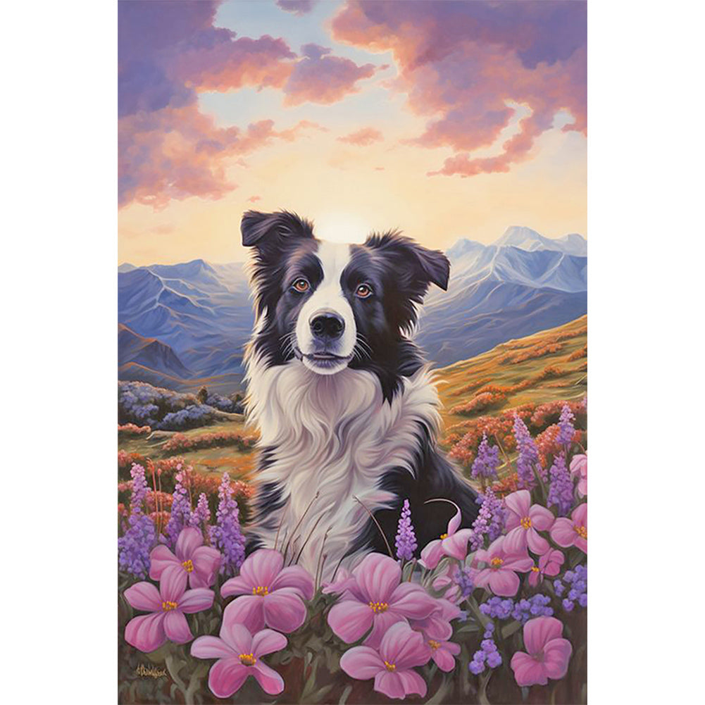 Border Collie - Full Round Drill Diamond Painting 40*60CM