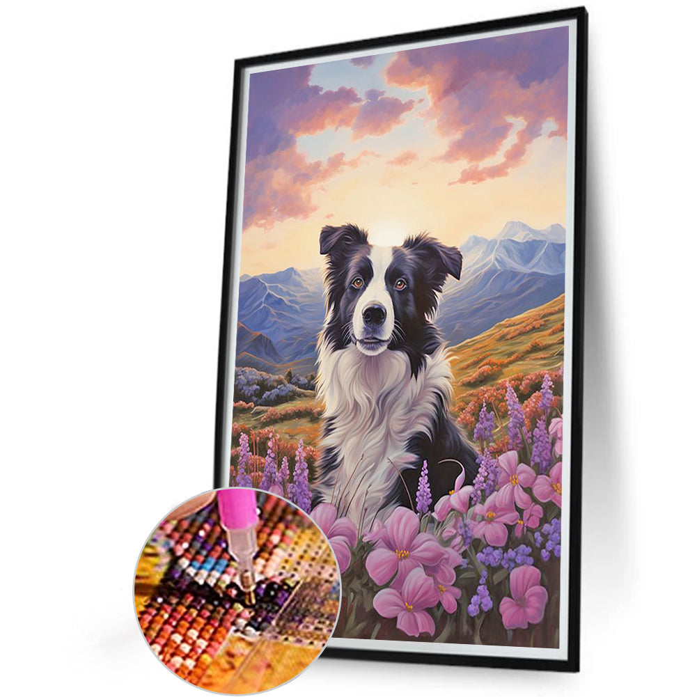 Border Collie - Full Round Drill Diamond Painting 40*60CM