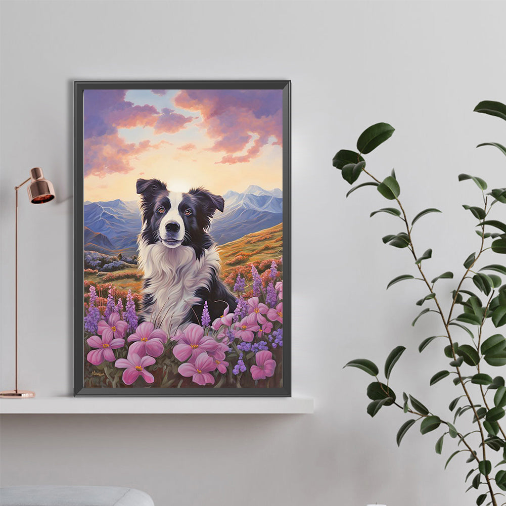 Border Collie - Full Round Drill Diamond Painting 40*60CM