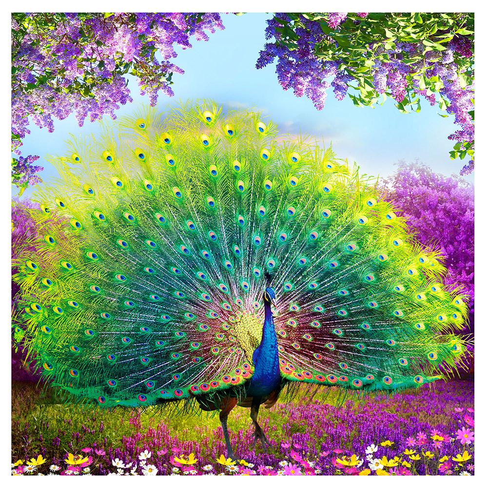 Peacock - Full Round Drill Diamond Painting 35*35CM