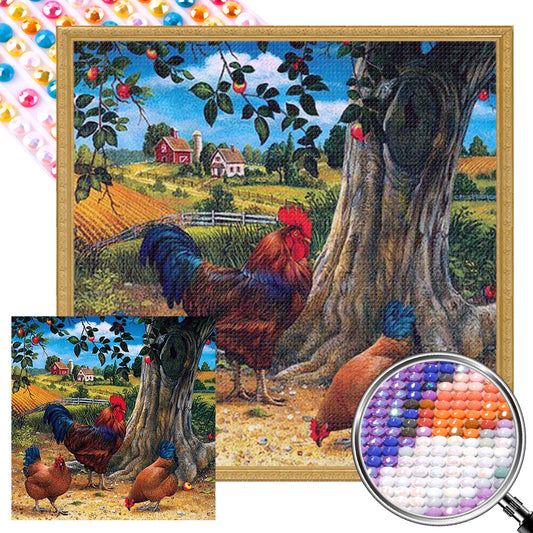 Farm Chicken - Full AB Dril Round Diamond Painting 40*40CM