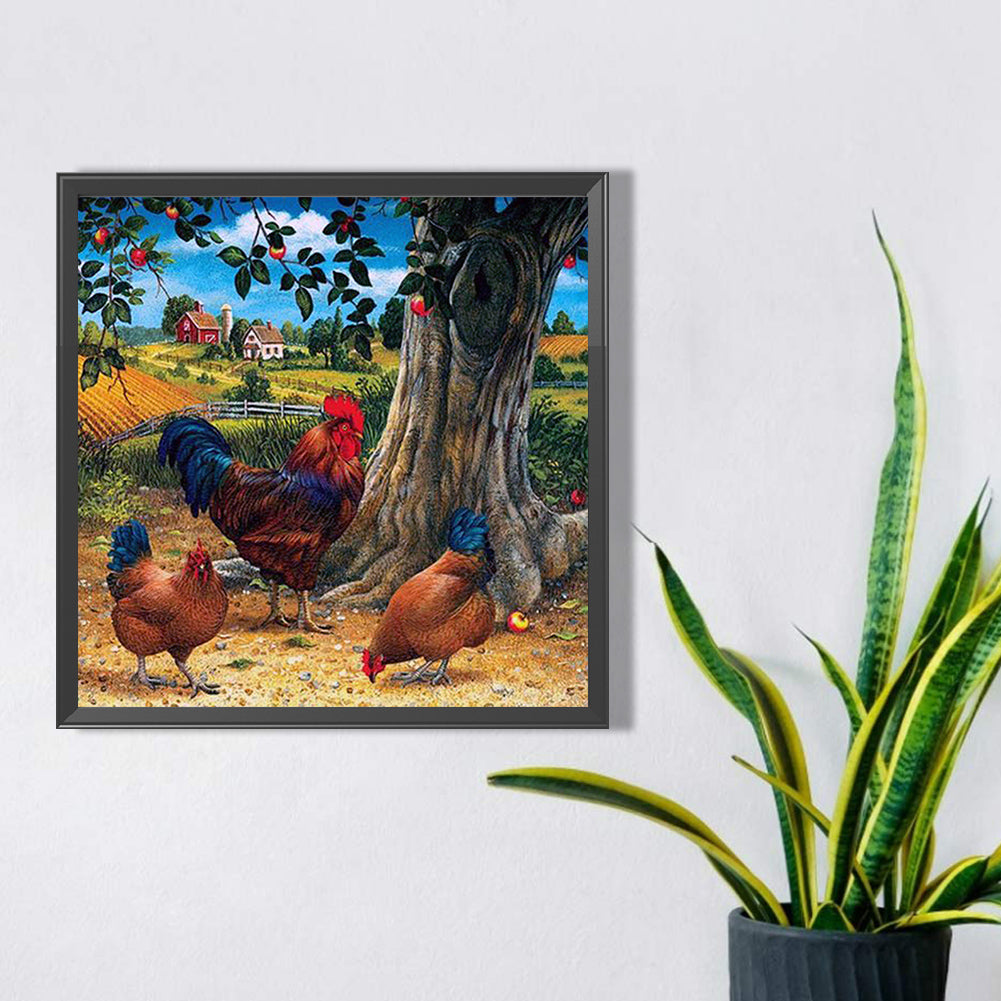 Farm Chicken - Full AB Dril Round Diamond Painting 40*40CM