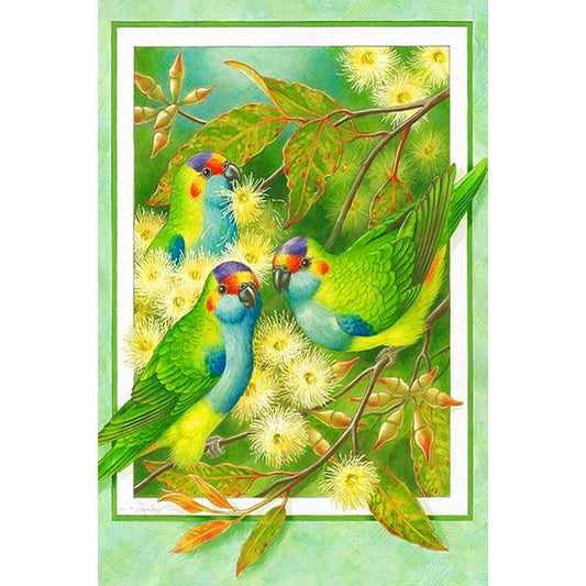 Frame Painted White Wood Eucalyptus Parrot - Full Round Drill Diamond Painting 40*60CM