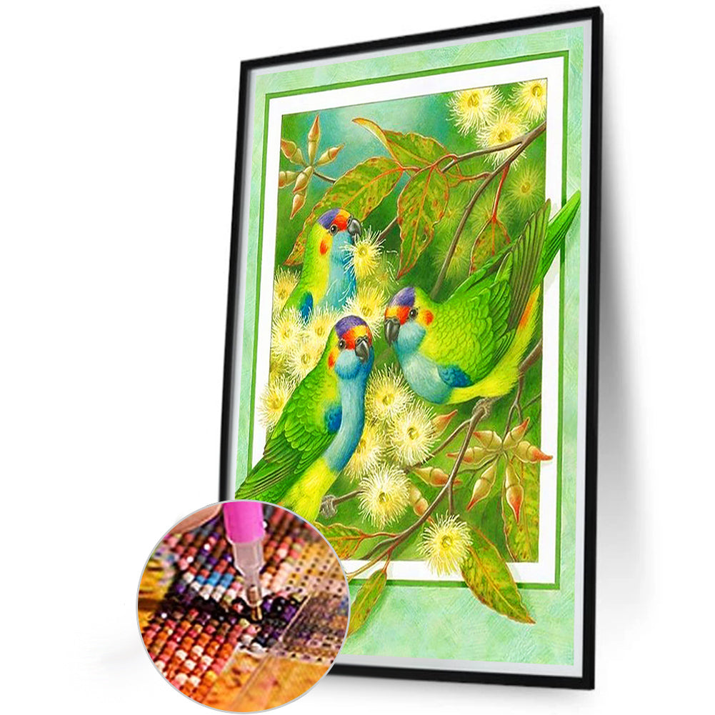 Frame Painted White Wood Eucalyptus Parrot - Full Round Drill Diamond Painting 40*60CM