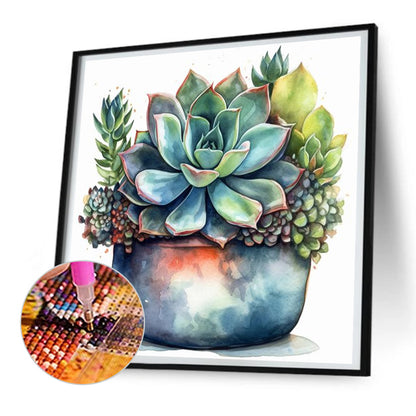 Succulent Plants - Full Round Drill Diamond Painting 30*30CM