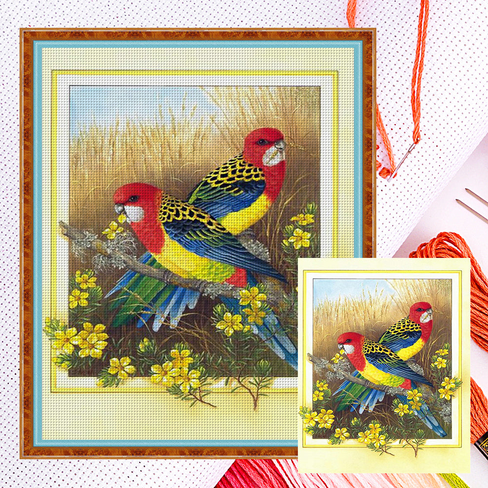 Parrot - 11CT Counted Cross Stitch 40*50CM