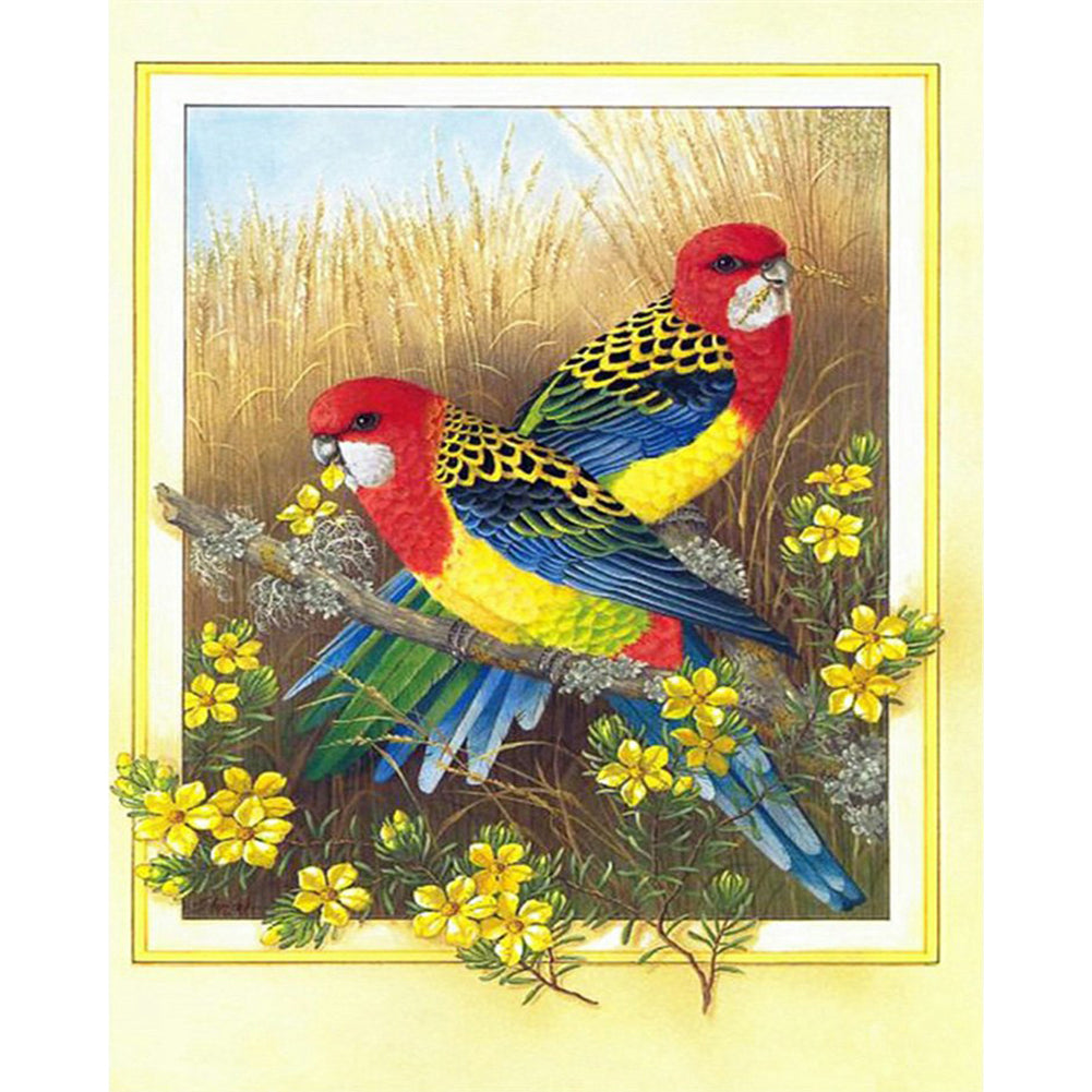 Parrot - 11CT Counted Cross Stitch 40*50CM