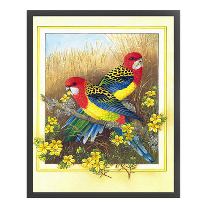 Parrot - 11CT Counted Cross Stitch 40*50CM