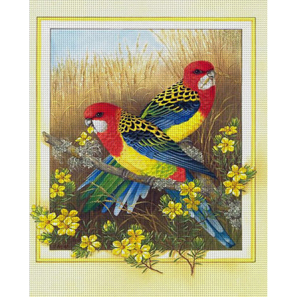 Parrot - 11CT Counted Cross Stitch 40*50CM