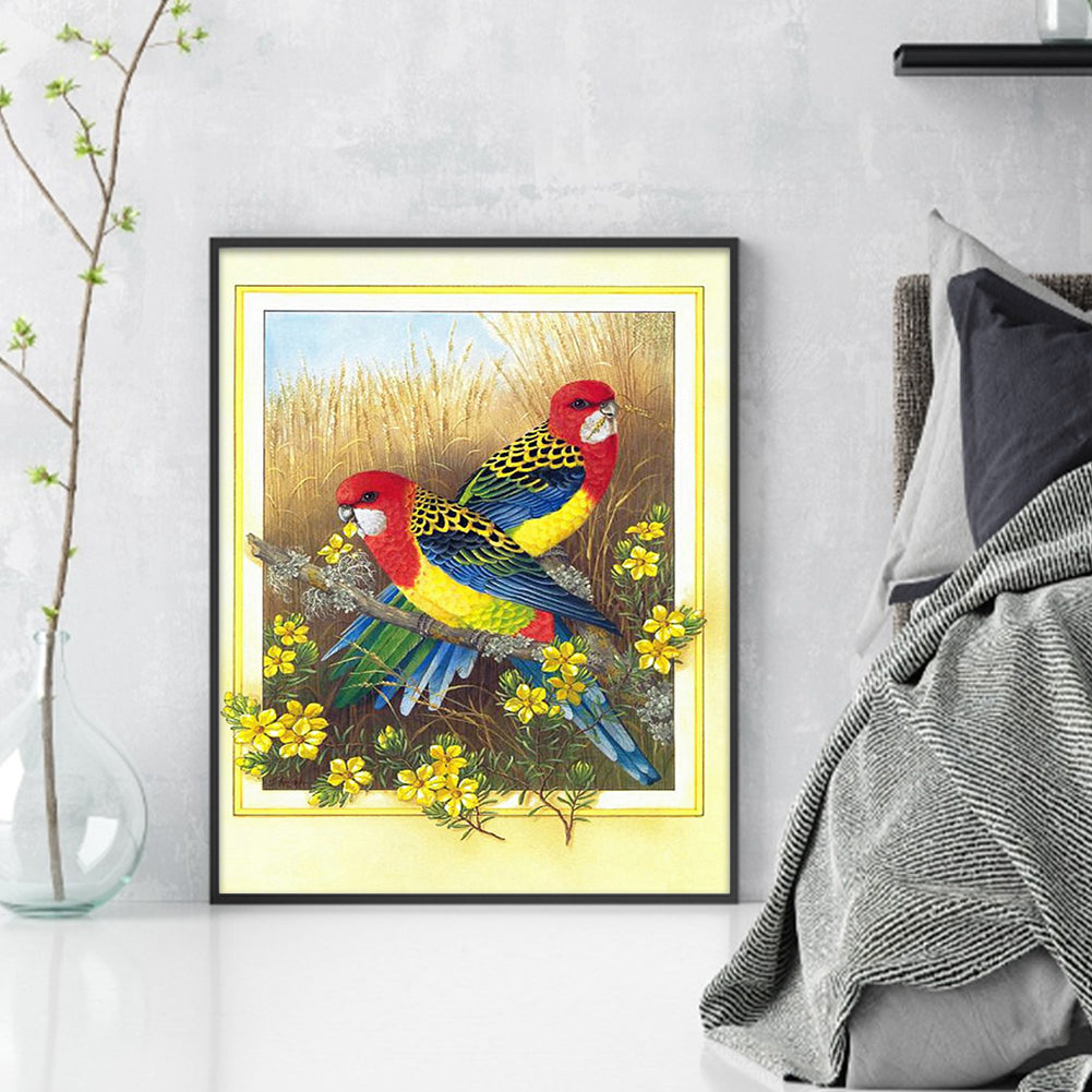 Parrot - 11CT Counted Cross Stitch 40*50CM