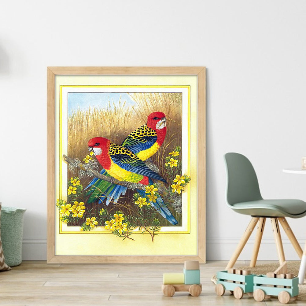 Parrot - 11CT Counted Cross Stitch 40*50CM