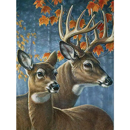 Elk - 11CT Stamped Cross Stitch 40*55CM