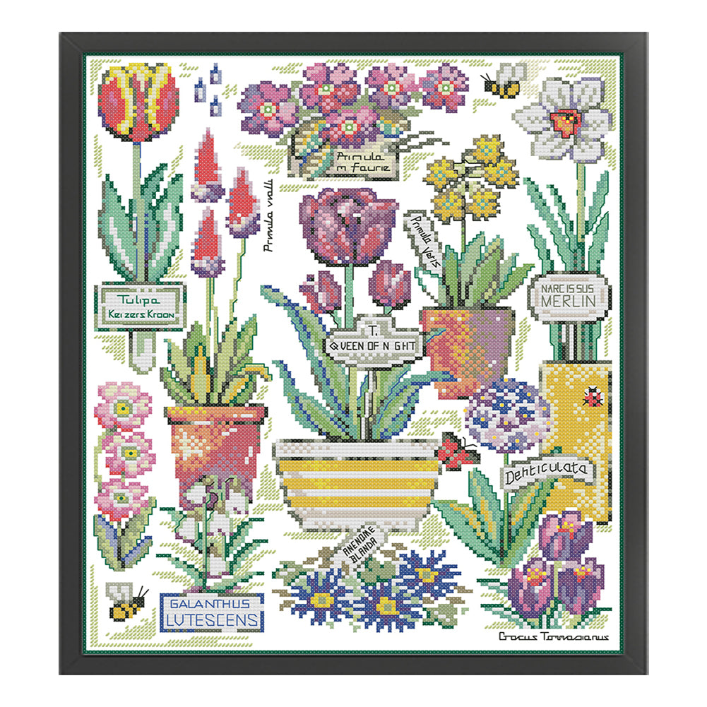 Flowers On Botanical Garden - 14CT Stamped Cross Stitch 33*38CM(Joy Sunday)