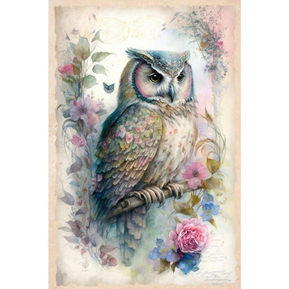 Owl - Full Square Drill Diamond Painting 40*60CM