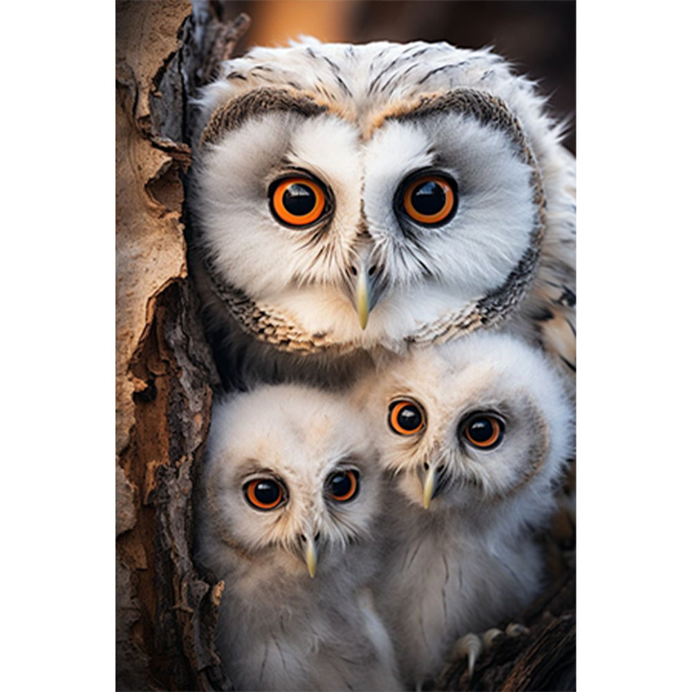 Mother Owl And Baby Owl - Full Round Drill Diamond Painting 30*45CM