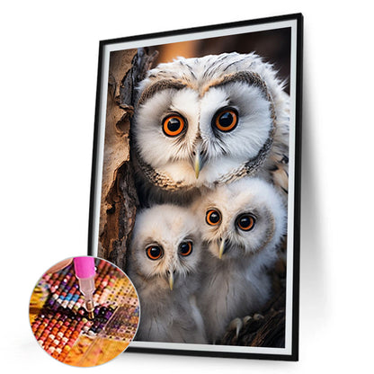 Mother Owl And Baby Owl - Full Round Drill Diamond Painting 30*45CM