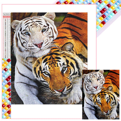 Tiger - Full Square Drill Diamond Painting 50*60CM