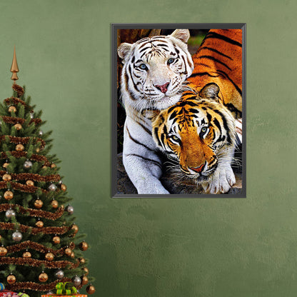 Tiger - Full Square Drill Diamond Painting 50*60CM