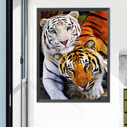 Tiger - Full Square Drill Diamond Painting 50*60CM