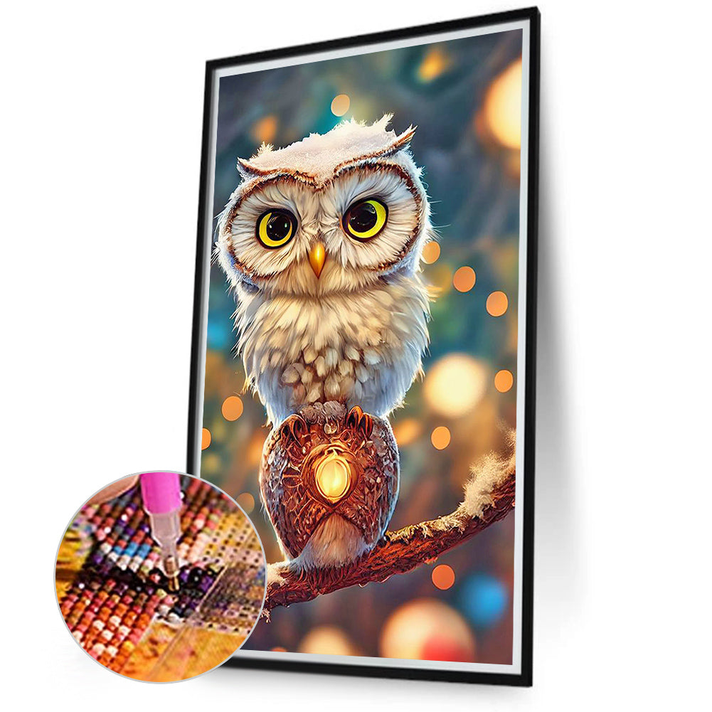 Big Eyed Owl - Full Round Drill Diamond Painting 40*70CM