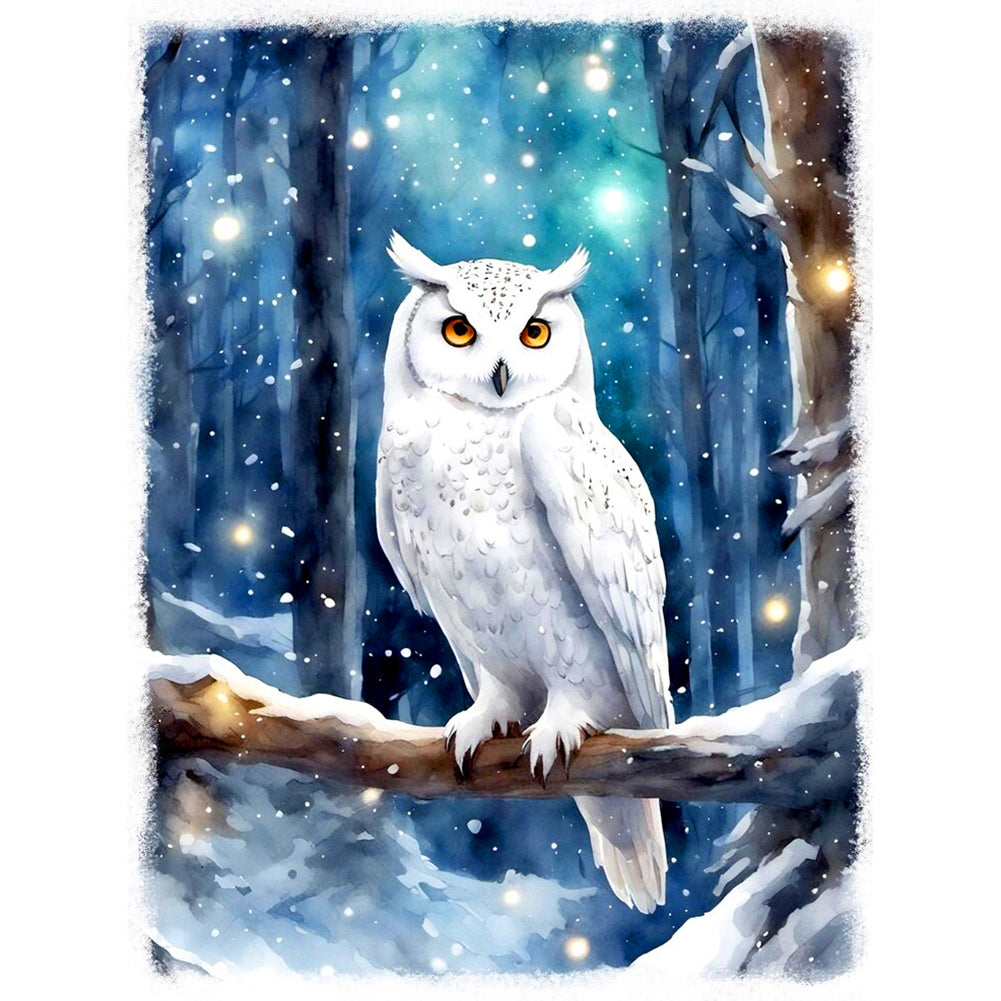 Owl - Full Round Drill Diamond Painting 30*40CM