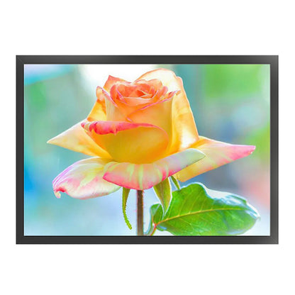 Rose - 11CT Counted Cross Stitch 40*30CM(Joy Sunday)