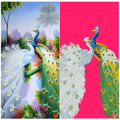 Peacock - Special Shaped Drill Diamond Painting 30*55CM