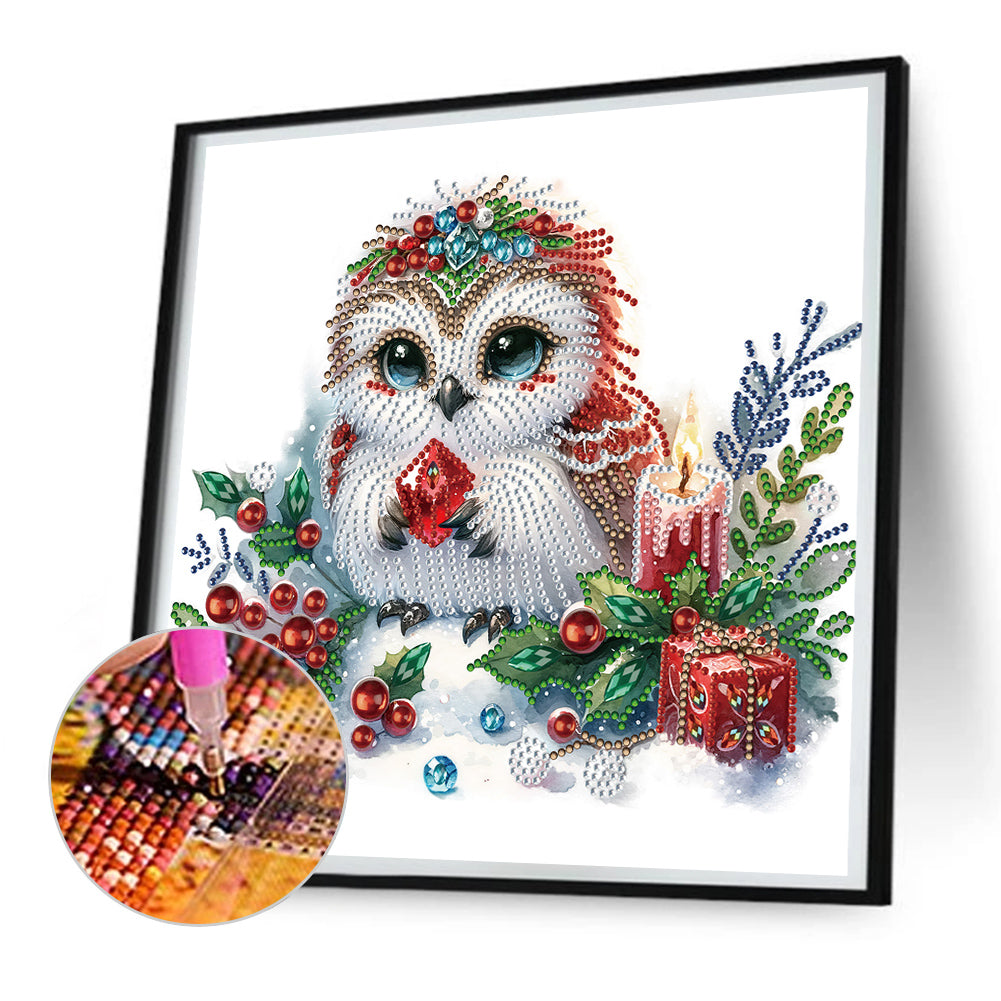 Winter Owl - Special Shaped Drill Diamond Painting 30*30CM