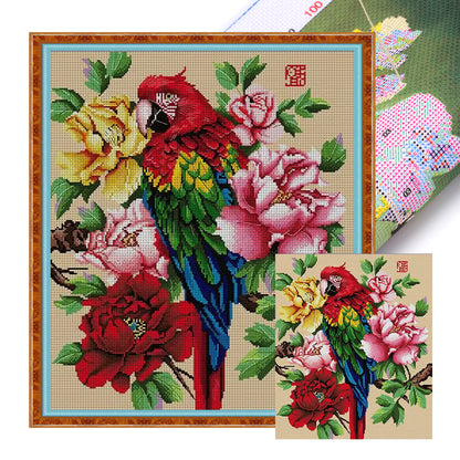 Splendid Parrot - 14CT Stamped Cross Stitch 43*47CM(Joy Sunday)