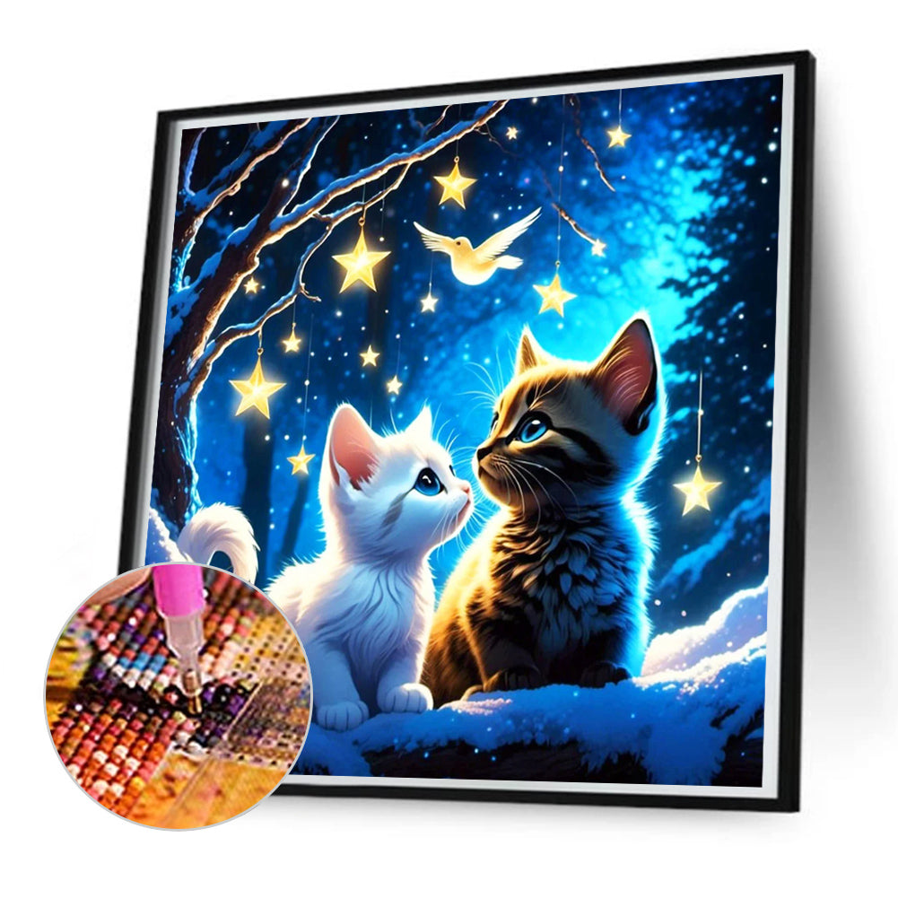 Star Cat - Full Round Drill Diamond Painting 50*50CM