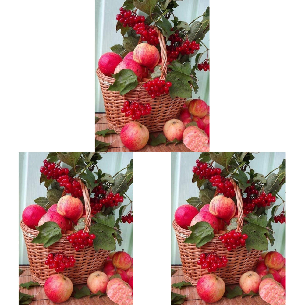 Flowers And Fruits - Full Round Drill Diamond Painting 30*40CM