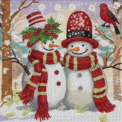 Snowman And Bird - Full Special Shaped Drill Diamond Painting 30*30CM