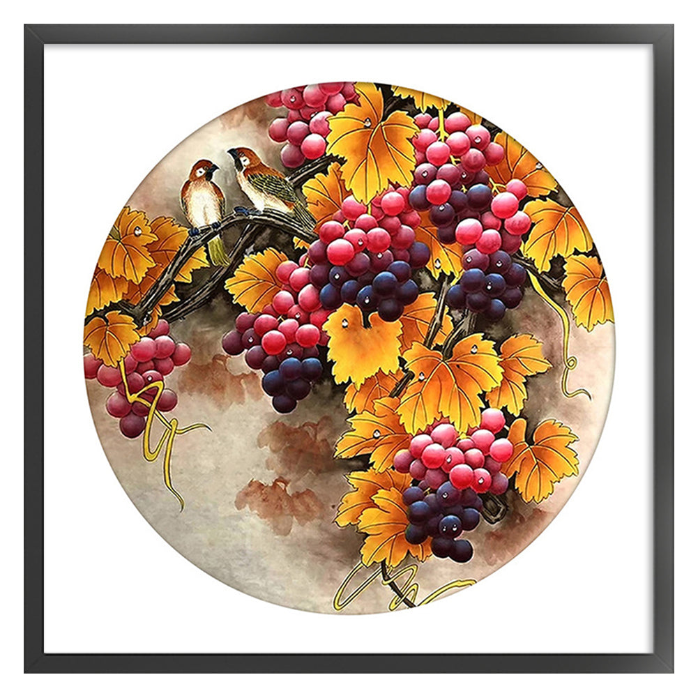 Fruitful - 11CT Stamped Cross Stitch 60*60CM