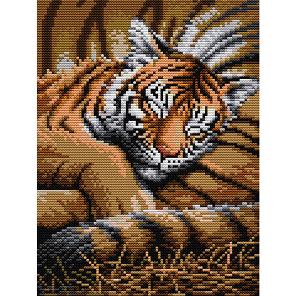 Tiger Cub - 11CT Stamped Cross Stitch 27*37CM(Joy Sunday)