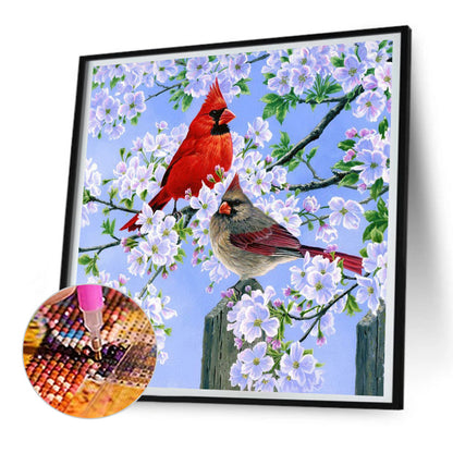 Cardinal - Full Round Drill Diamond Painting 30*30CM