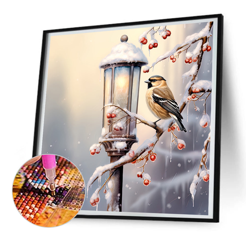Street Light Bird - Full Round Drill Diamond Painting 30*30CM