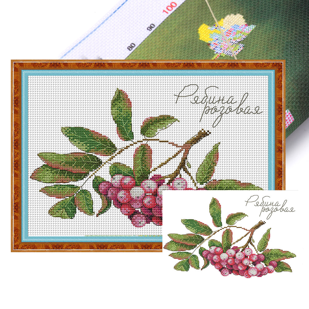 Fruit Series 1 - 14CT Stamped Cross Stitch 31*21CM(Joy Sunday)