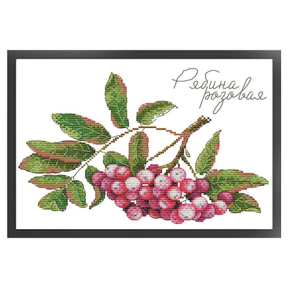 Fruit Series 1 - 14CT Stamped Cross Stitch 31*21CM(Joy Sunday)