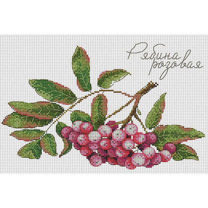 Fruit Series 1 - 14CT Stamped Cross Stitch 31*21CM(Joy Sunday)