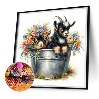 Iron Bucket Lamb - Full Round Drill Diamond Painting 30*30CM