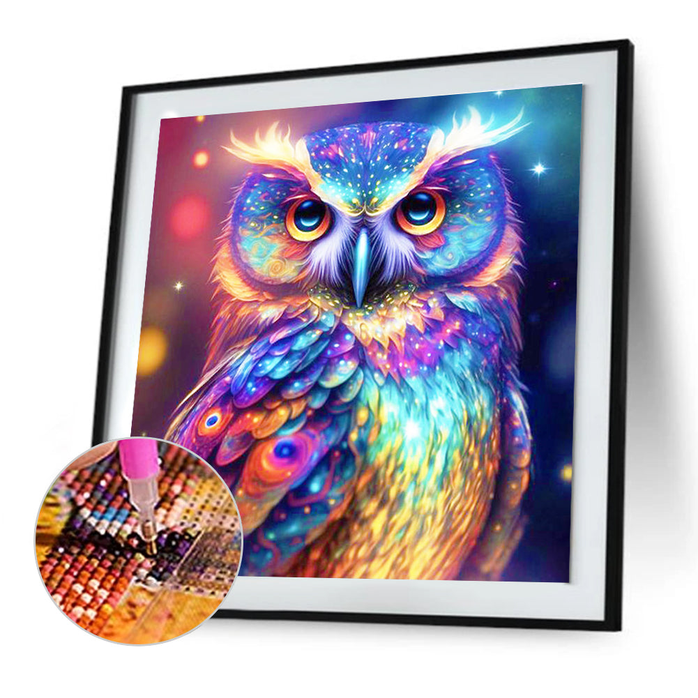 Colorful Owl - Full Round Drill Diamond Painting 30*30CM