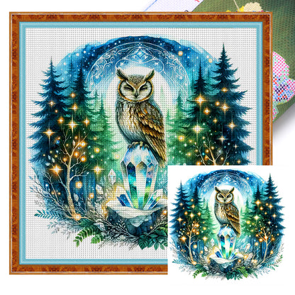 Owl On Gemstone Under Moonlit Night - 11CT Stamped Cross Stitch 40*40CM