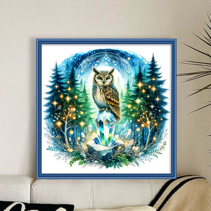 Owl On Gemstone Under Moonlit Night - 11CT Stamped Cross Stitch 40*40CM