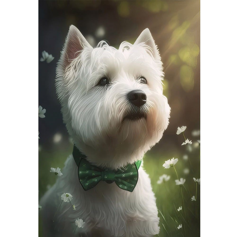 West Highland White Terrier - 11CT Stamped Cross Stitch 40*60CM