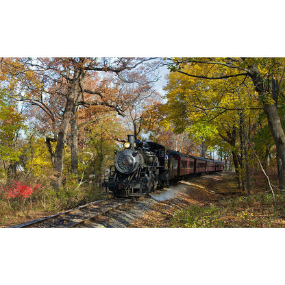 Train Locomotive - Full Round Drill Diamond Painting 50*30CM