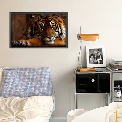 Tiger - Full Round Drill Diamond Painting 50*30CM